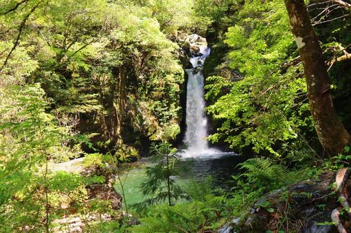 にこ淵の滝 にこ淵の滝の写真