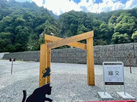 黒部峡谷鉄道 猫又駅前風景 黒部峡谷鉄道 猫又駅前風景の写真