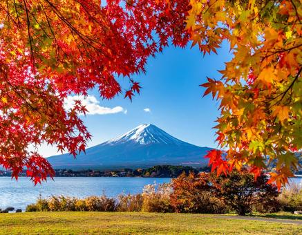 富士山と紅葉 富士山と紅葉の写真