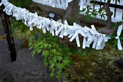 数珠繋ぎに願いが集う御神籤たちの写真