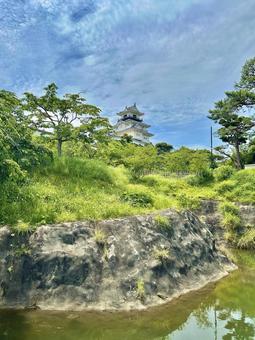 掛川城 掛川城 掛川城,掛川,お城の写真素材