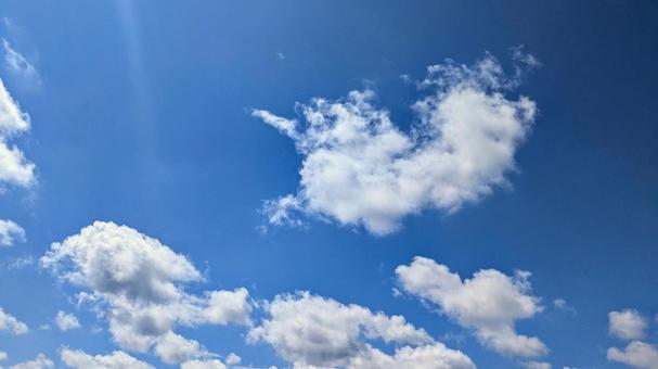 夏の青空 夏の青空の写真
