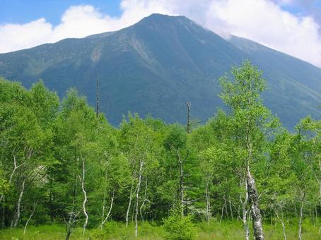 奥日光 小田代ヶ原から望む男体山 小田代ヶ原,男体山,戦場ヶ原の写真素材