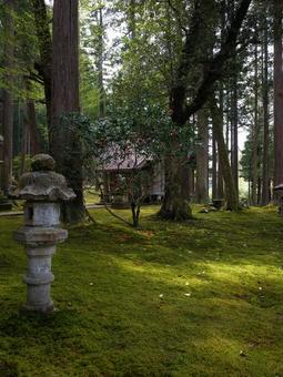 日用神社 日用神社の写真
