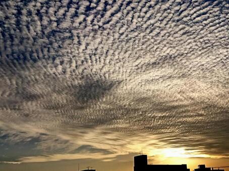秋のうろこ雲と夕焼け 秋のうろこ雲と夕焼けの写真
