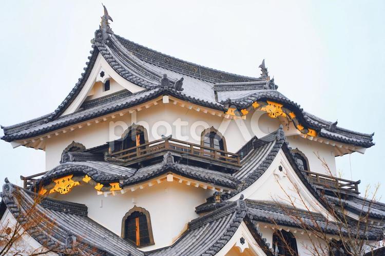 世界に誇る日本の名城彦根城 城,彦根城,国宝の写真素材