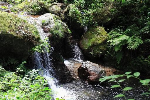小川 小川の写真