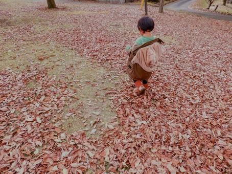 秋のさんぽ 秋のさんぽの写真