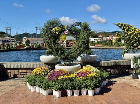 秋の武生中央公園 秋の武生中央公園 武生中央公園,福井県,越前市の写真素材