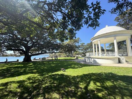 オーストラリアの海辺の芝生 オーストラリアの海辺の芝生 公園,芝生,木の写真素材