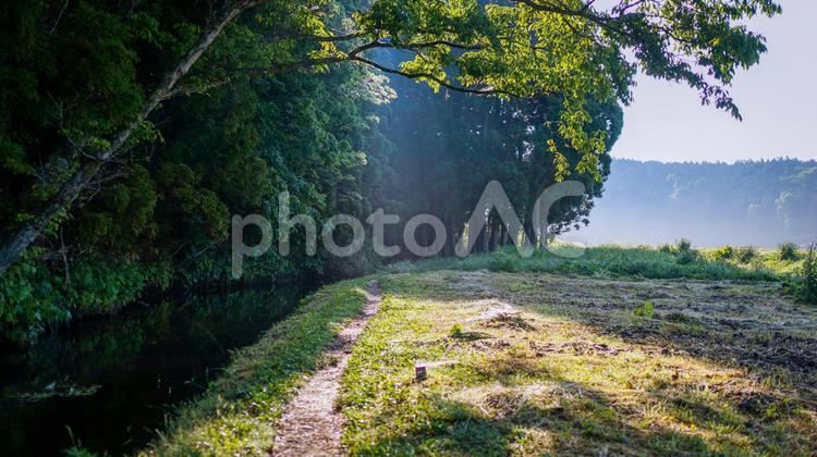 森と川と田舎道 田舎道,道,森の写真素材