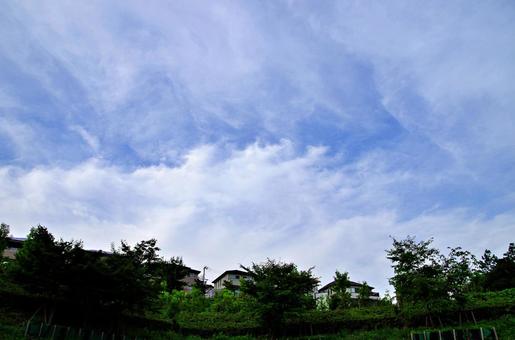 緑地から見上げる7月の空 夏空,薄雲,家並みの写真素材