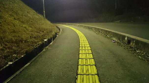 夜道 夜道の写真
