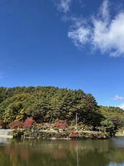 晩秋の小坂田池（長野県塩尻市） 小坂田池,池,pondの写真素材