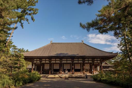 青空に映える唐招提寺 唐招提寺,国宝,世界文化遺産の写真素材