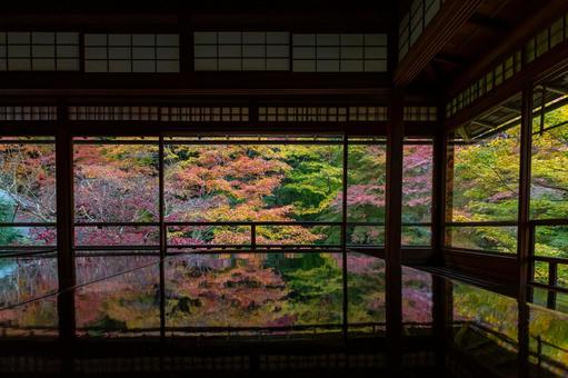 瑠璃光院_紅葉の絶景 紅葉,京都,秋の写真素材
