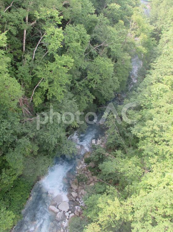 青い川（白ひげの滝より） 北海道,美瑛,青い池の写真素材