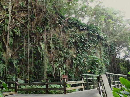 台湾 小琉球 山豬溝 台湾,山豬溝,小琉球の写真素材