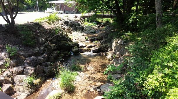 木漏れ日の小川 木漏れ日の小川の写真