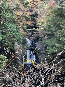錦秋の渓谷 山,森,川の写真素材