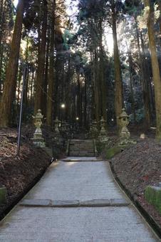 熊本県高森町 上色見熊野座神社 熊本県高森町 上色見熊野座神社の写真