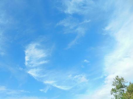 【空の写真】秋空 【空の写真】秋空 秋空,空,雲の写真素材