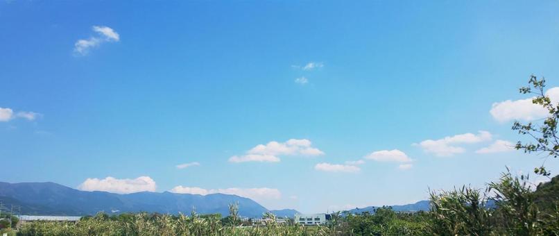 青空 青空の写真
