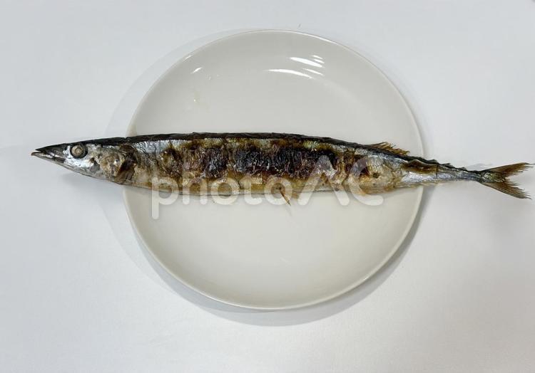 さんまの塩焼き さんま,秋刀魚,魚の写真素材