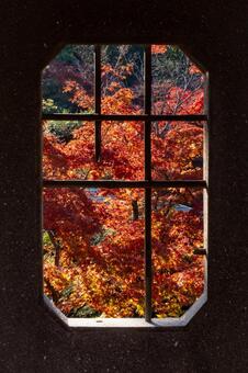 相楽園・神戸・日本庭園・紅葉 相楽園,紅葉,神戸の写真素材