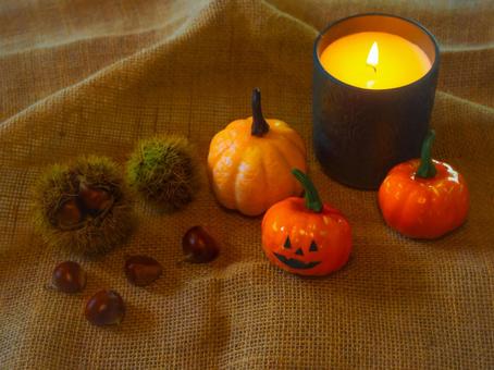 ハロウィン、南瓜、キャンドル、栗、毬栗 ハロウィン、南瓜、キャンドル、栗、毬栗 ハロウィン,秋,ディスプレイの写真素材