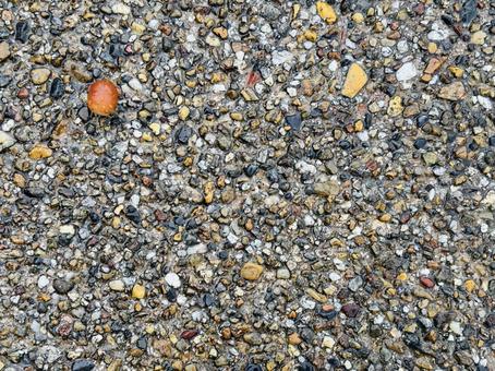 1粒のどんぐり、コピースペース どんぐり,木の実,秋の写真素材