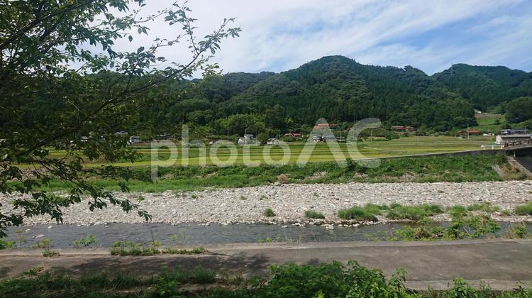 森林と川 きれい,キレイ,道の写真素材