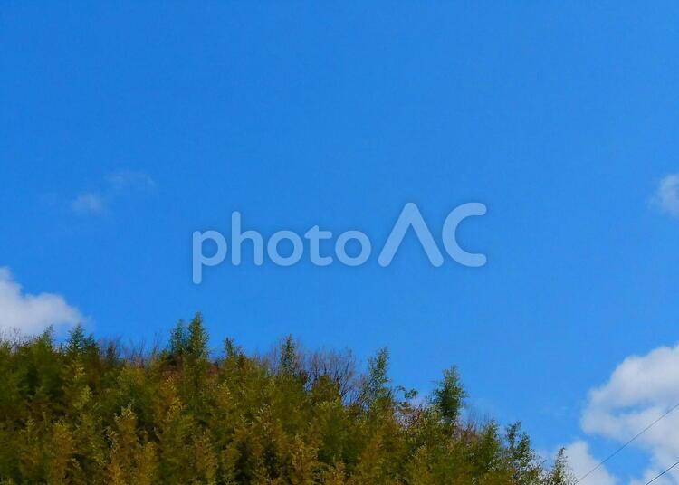 青空の下の木々 何人もありません,光,冬の写真素材