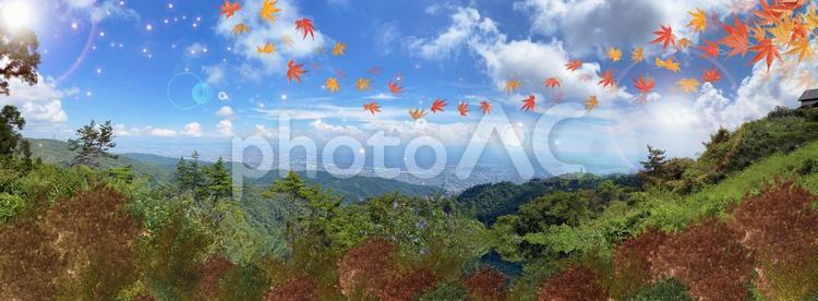 秋の紅葉した木々の山並み　パノラマ風景 紅葉,空,コウヨウの写真素材
