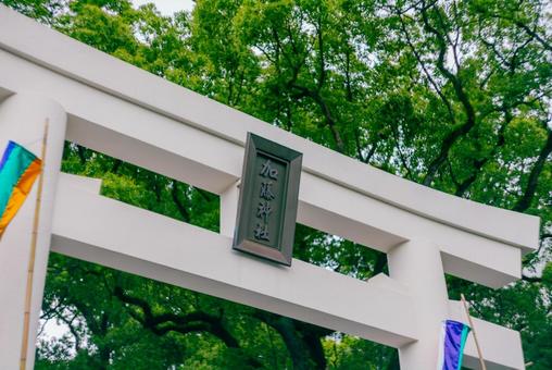【熊本】加藤神社 2025 【熊本】加藤神社 2025 熊本,2025,城下町の写真素材