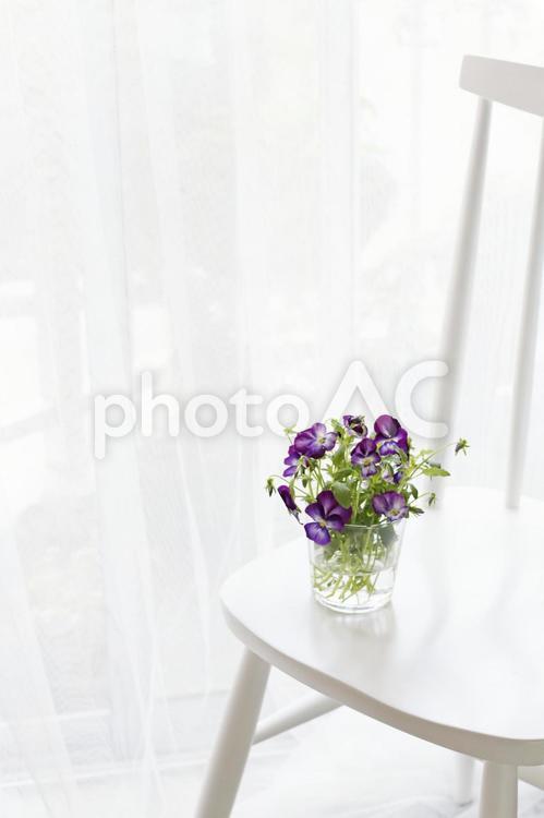 花のある風景 花,パンジー,春の花の写真素材