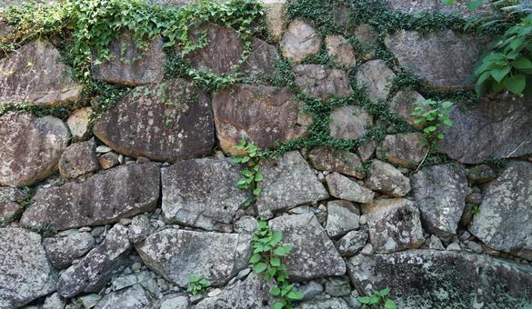 テクスチャ　雑草の生えた石垣 テクスチャ,石垣,野面積みの写真素材