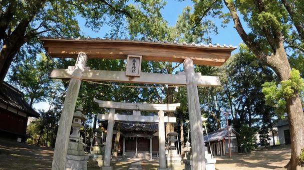 埼玉県行田市行田　 春日神社 鳥居 埼玉,行田市行田,春日神社の写真素材