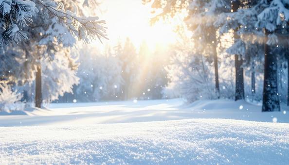 冬のイメージ画像　雪山　雪原の写真