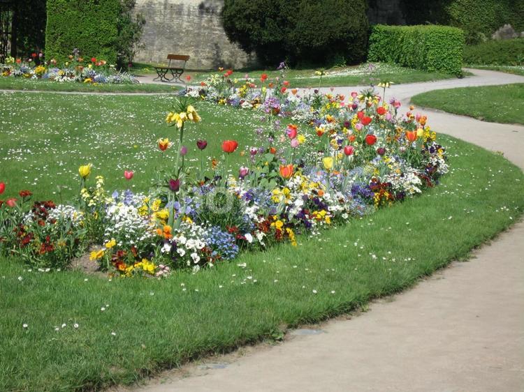 ヴュルツブルク司教館　ホーフガルテンの花 ホーフガルテン,ヴュルツブルク,レジデンツの写真素材