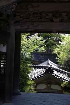 永平寺の山門より 永平寺,山門,瓦屋根の写真素材