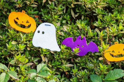 ハロウィンの飾り⒁ ハロウィンの飾り⒁ ハロウィン,飾り,お化けカボチャの写真素材