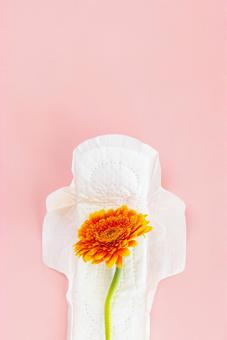 生理用ナプキンに重ねた花 生理,月経,生理用品の写真素材