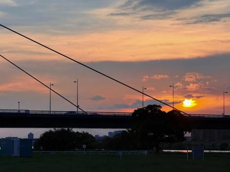 綺麗な夕日 綺麗な夕日の写真
