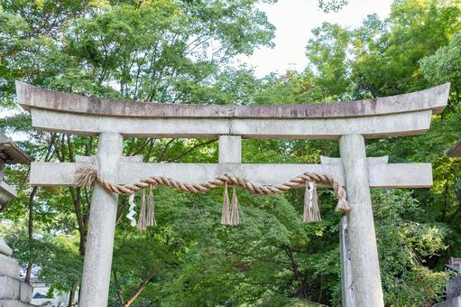 鳥居 正面 鳥居 正面の写真