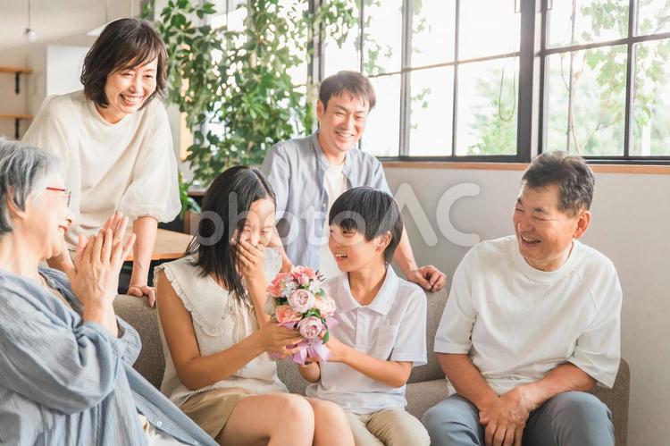 家族から花束をもらう小学生の女の子 家族,誕生日,お祝いの写真素材