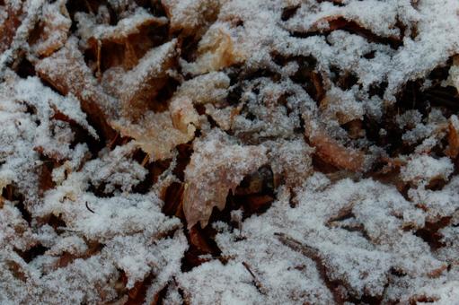名残雪 名残雪の写真