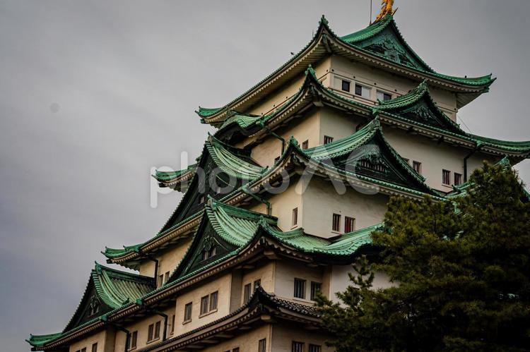 名古屋　名古屋城の風景 名古屋,愛知,愛知県の写真素材