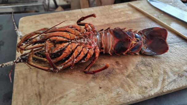 まな板の上の伊勢海老 伊勢海老,海老,エビの写真素材