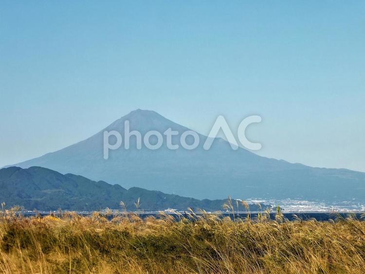 青い富士山と海とススキの野原 富士山,山,山並みの写真素材